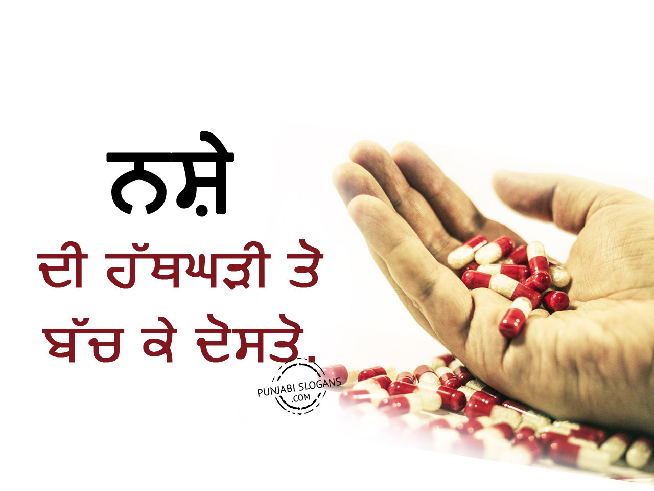 essay on drugs in punjabi language wikipedia