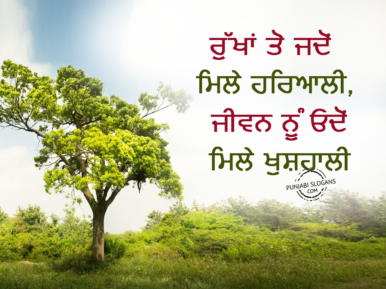 essay on tree in punjabi